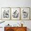 Linocut Style Seabird I - Impression personnalisée de qualité supérieure avec cadre mat - 3 pièces-639978617-639978620
