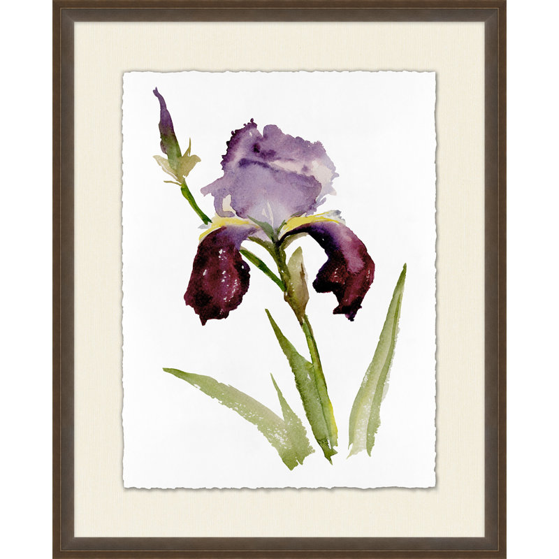 Iris 1 Print