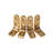 Brass Security Fasteners