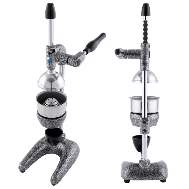 Tribest Manual Slow Masticating & Cold Press Juicer, Gray