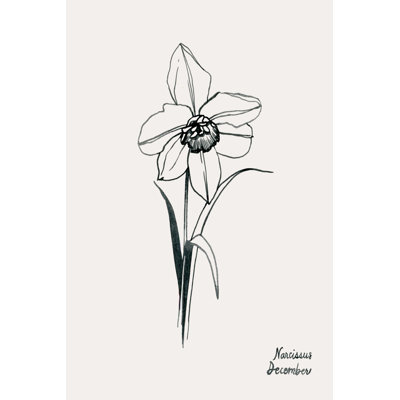 Fleurs Annuelles