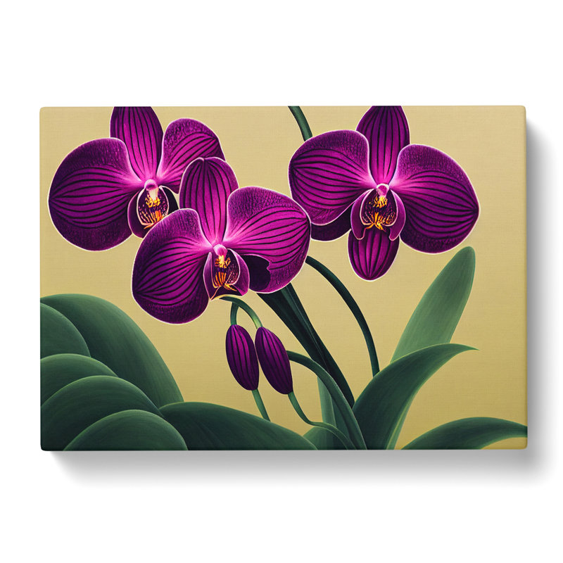 Sacred Orchid Flowers - Wrapped Canvas, 35cm H x 50cm W x 3cm D