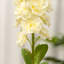 Artificial Delphinium Spray-1674026759