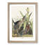 Green Heron by John Audubon - Picture Frame Painting Print-55609124-55609122