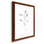 Croquis floral - reproduction de cadre photo sur papier-323769401-323769405