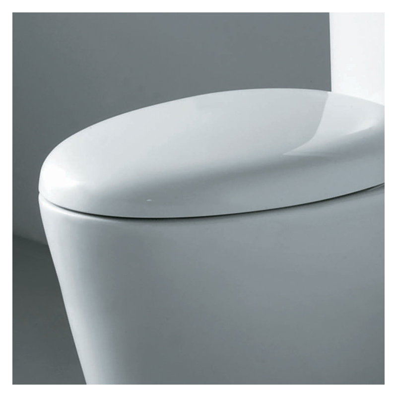 1.28 Gallons GPF High Efficiency Dual Flush One-Piece Toilet