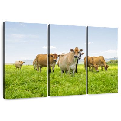 Brampt Farm Cattle