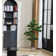 69.3'' Artificial Bonsai Tree In A Tall Beige Checkered Planter Perfect For Indoor And Outdoor Use