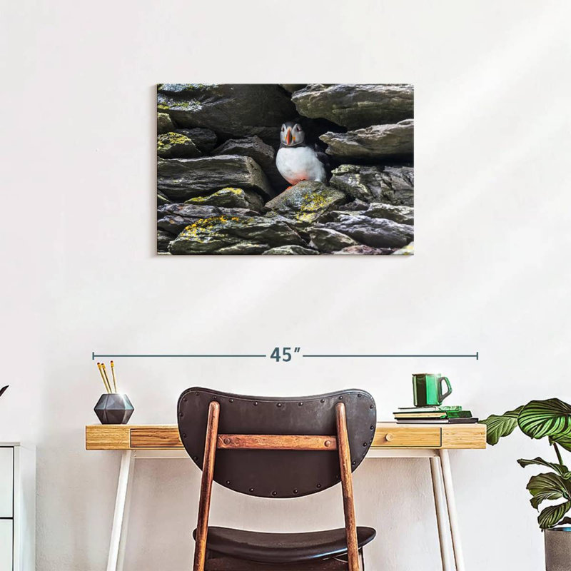 Corbeau au repos, H 20 po x l 30 po