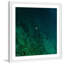 Karolis Janulis - Single Picture Frame Print-18344018