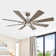 Lisa 60'' Ceiling Fan with LED Lights