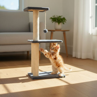 Grattoir pour chat