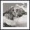 Snowscape 4 Print by Studio L57 Narrative