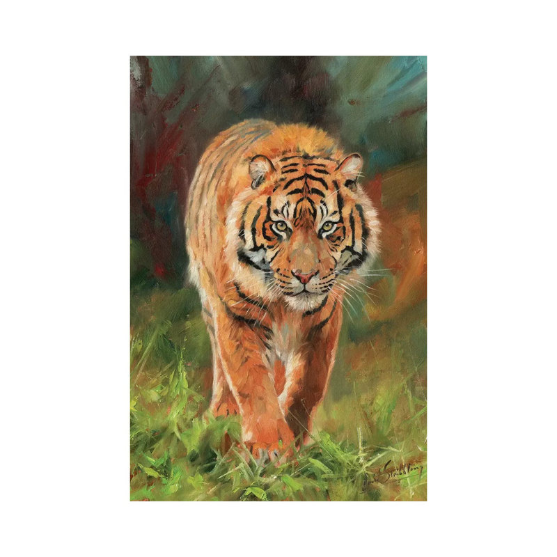 Amur Tiger by David Stribbling - Gallery-Wrapped Canvas Giclée on Canvas, Canvas, 20.32 cm H x 30.48 cm W