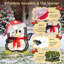 Lot de 2 pingouins lumineux pour décorations de Noël extérieures, pour porche, cour, jardin.