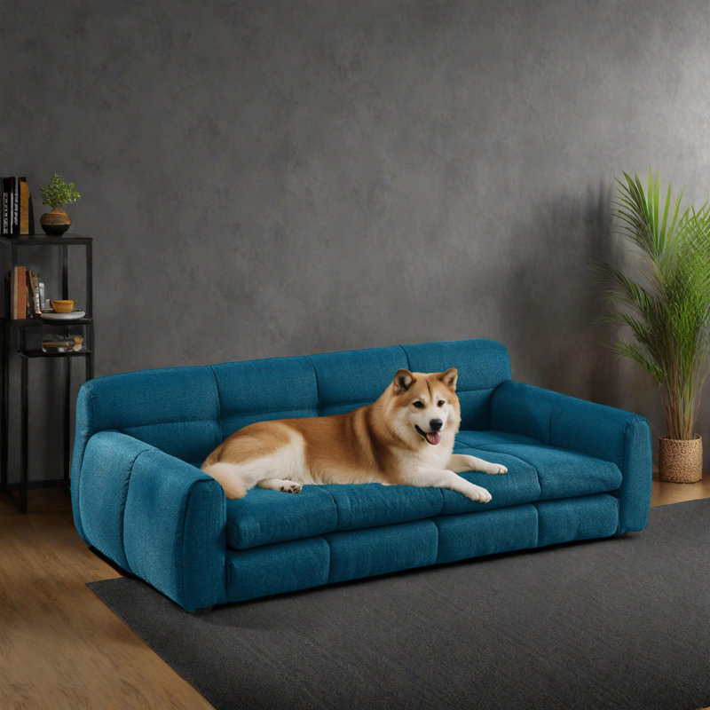 Canapé-lit surélevé pour chiens surdimensionnés, Bleu