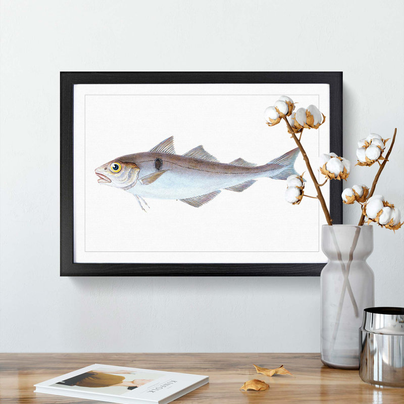 Haddock Fish by Edward Donovan - Picture Frame Painting Print, 27cm H x 36cm W x 2cm D, Black Framed