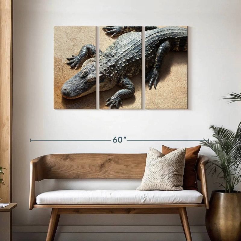 Alligator, 28" H x 45" W