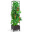 Lit de jardin avec treillis