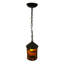 Rustic Lodge 1 - Light Pendant