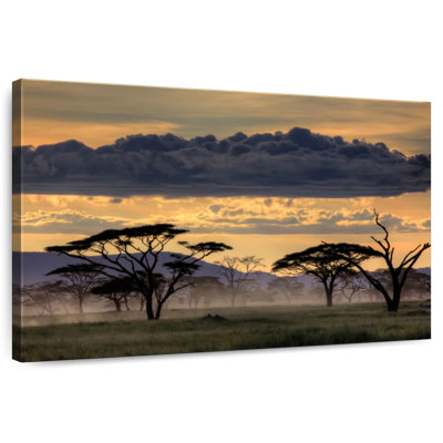 Nicci Good Evening Tanzania