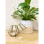 Glass Tabletop Tealight Holder-1777994283