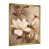 Gold Single Picture Framed