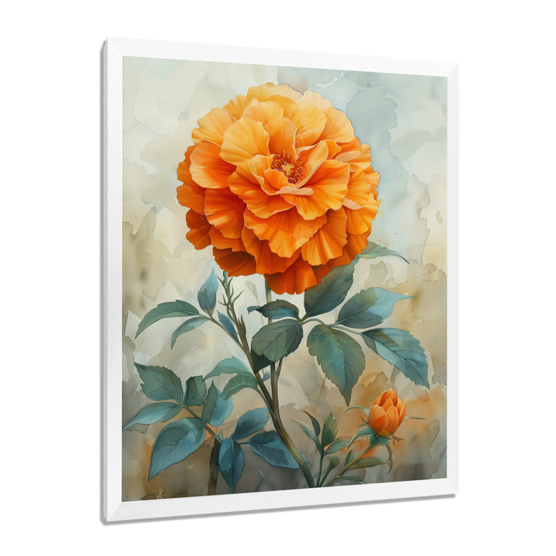 Orange orange, fleur parfumée, souci I - impression murale souci, Cadre simple blanc, bois massif, H 34 po x l 44 po