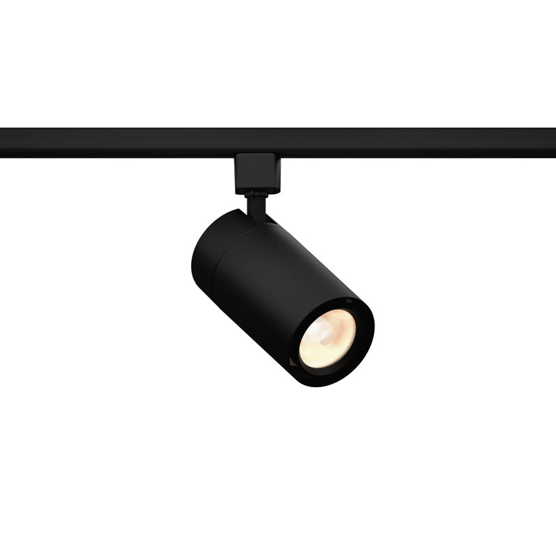 GX 25 LED Track Spot Light, Black