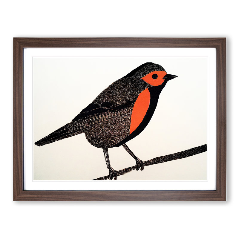 Shining Robin Bird - Framed Print, 34cm H x 46cm W x 2cm D, Walnut