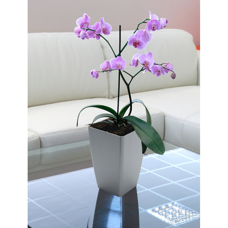 Pot de fleurs en plastique à arrosage automatique Jamila, blanc