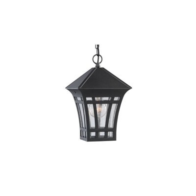 Luminaire suspendu d'extérieur à une lumière avec panneaux de verre transparent ensemencé B3C3A280BAAA41BAA107FB4B80CA9107