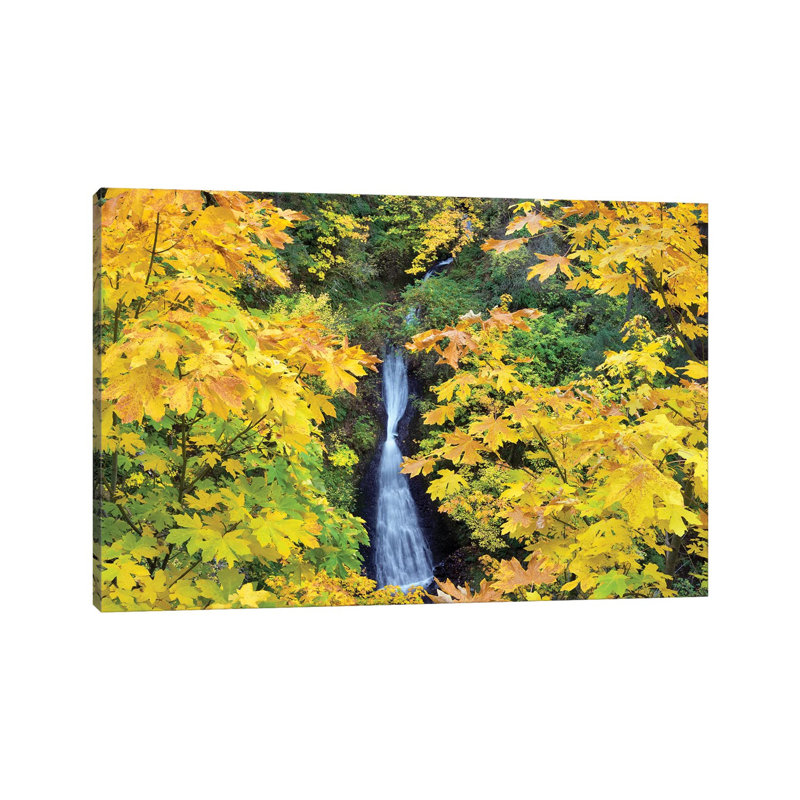 Waterfall Frame by Dennis Frates - Wrapped Canvas Print, 30.48 cm H x 45.72 cm W