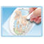 Ensemble de peinture rupestre - dinosaure B