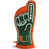 Miami Hurricanes