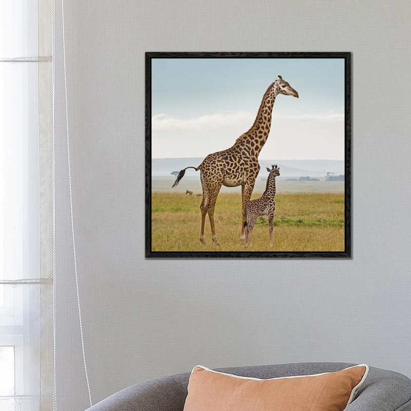 Colour Giraffe & Calf by Klaus Tiedge - Print on Canvas, 66.04 cm H x 66.04 cm W, Black Framed
