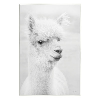 " Monochrome Alpaca Farm Animal "