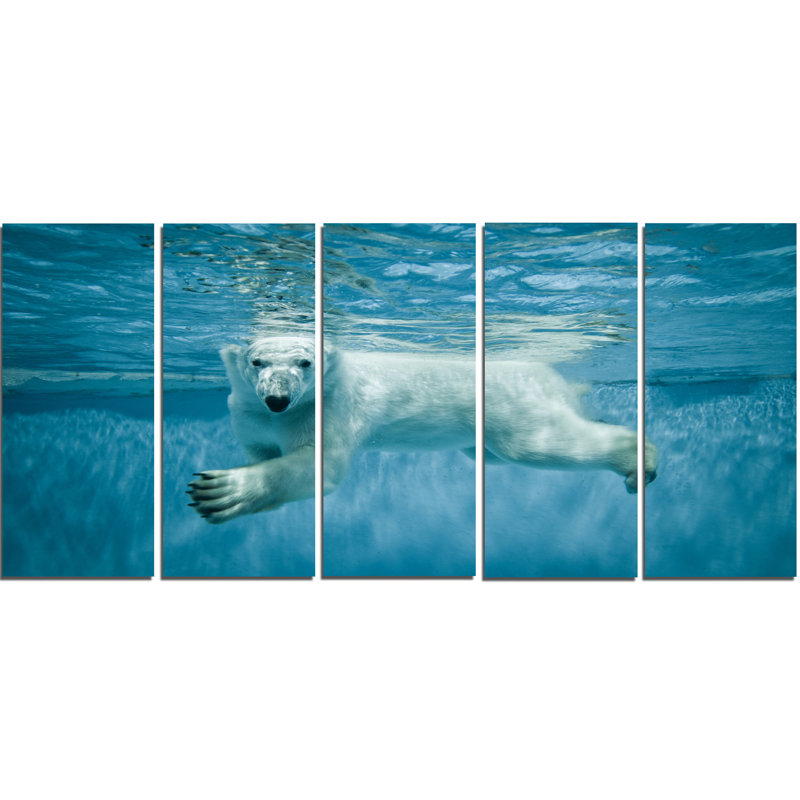 Ensemble de 5 reproductions de photo sur toile tendue "polar bearing under water"