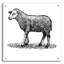  «Little Ewe» par Art Licensing Studio, art mural en verre acrylique, 24 po x 24 po-166053784