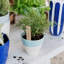 Viva Garden Handmade Planter-1485586975-1485586944