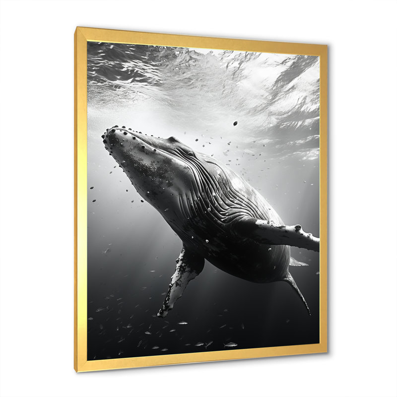 Whale Dance II - Whale Animal, art mural, Encadrement doré, H 44 po x l 34 po x P 1,5 po