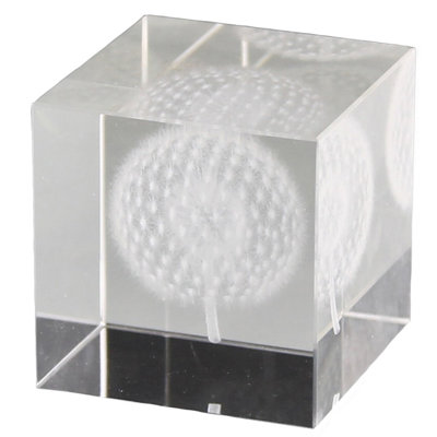 Terry - Pissenlit en verre hologramme