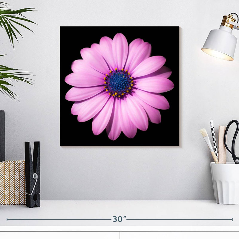 Harnek Pink Daisy