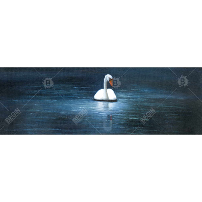 Magnifique toile de cygne | Décorations romantiques à cadre bleu