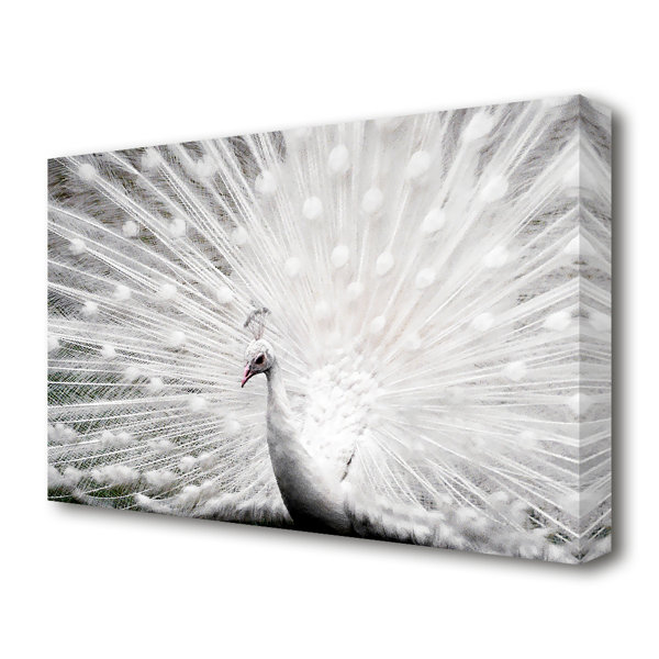 East Urban Home White Peacock Modern - Wrapped Canvas Print & Reviews ...