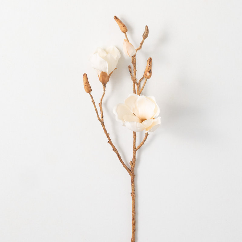 Magnolia Sprays, Crème