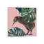 Kiwi oiseau avec monstera art-49839990-49839985
