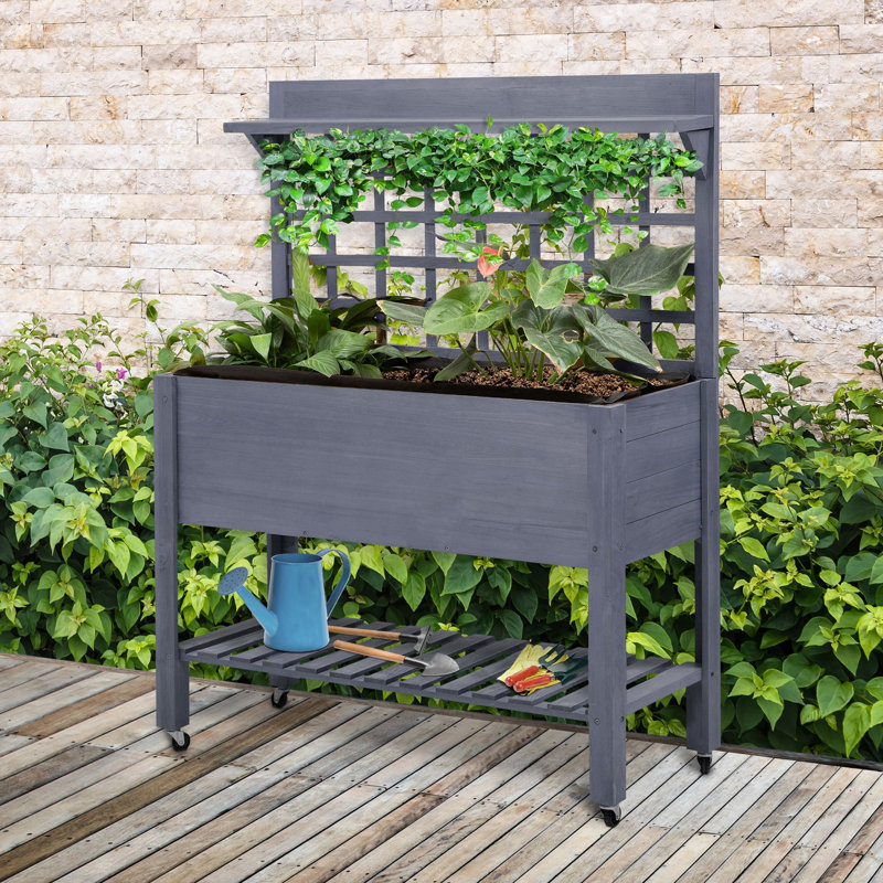 Lit de jardin surélevé avec treillis, pot à fleurs surélevé en bois de 41 po pour captiver, gris votre jardin,