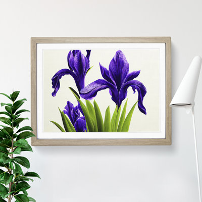 Spectacular Iris Flowers - Framed Print