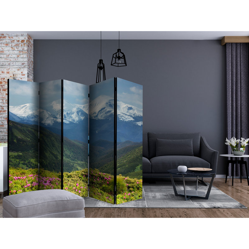 Casey 225cm W x 172cm H 5 - Panel Folding Room Divider